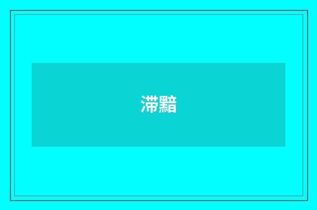 滞黯