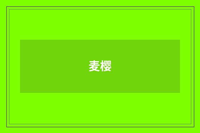 麦樱