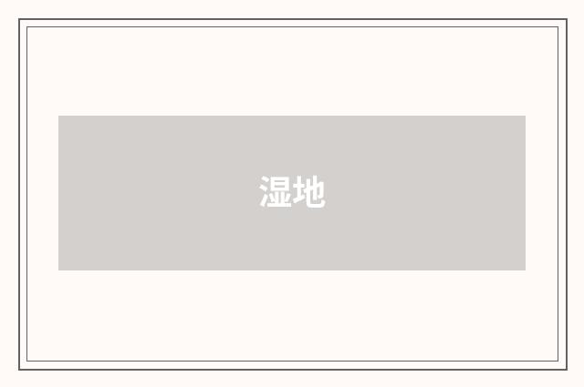 湿地