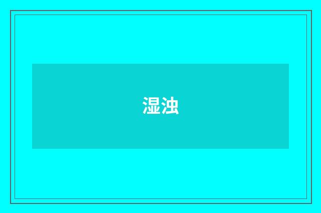 湿浊