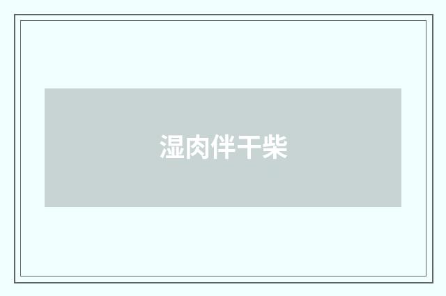 湿肉伴干柴