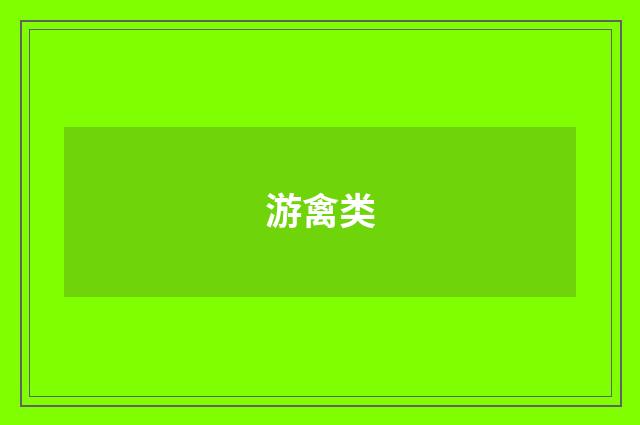 游禽类