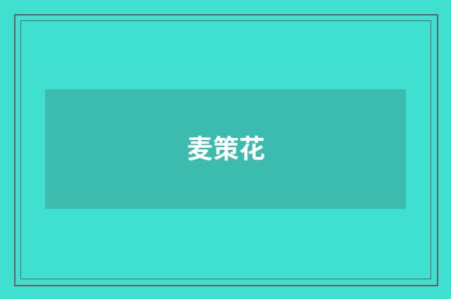 麦策花