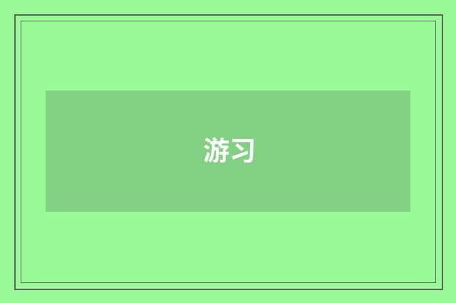 游习