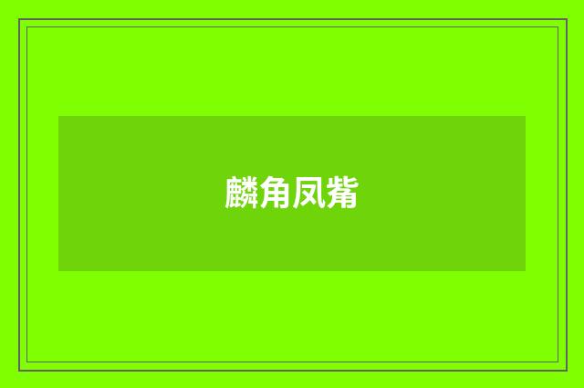 麟角凤觜