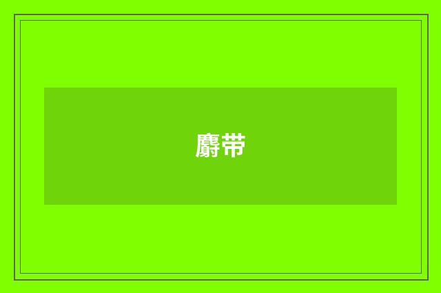 麝带