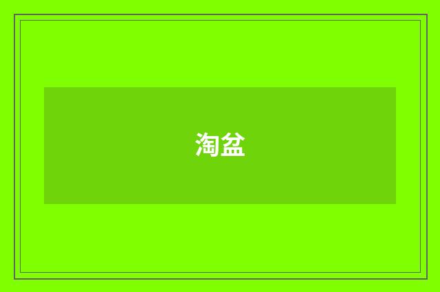 淘盆
