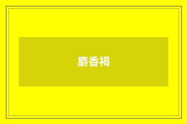 麝香褐