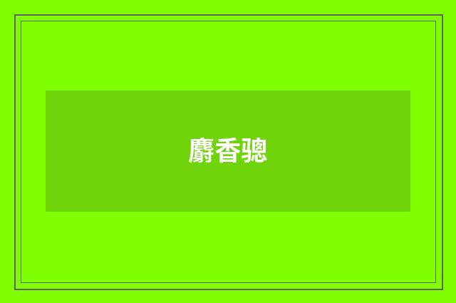 麝香骢