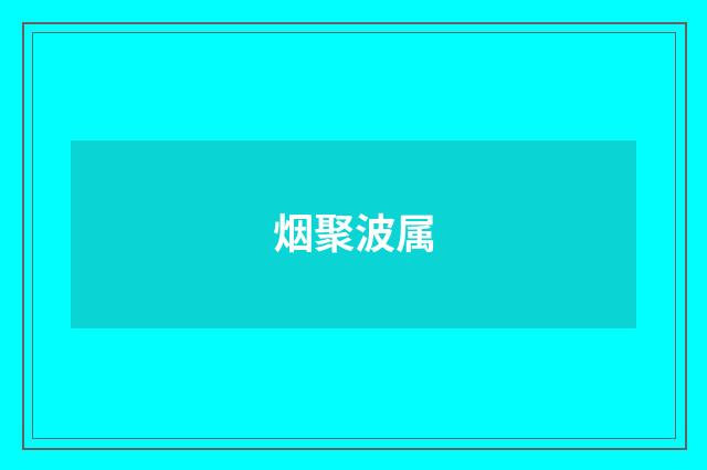 烟聚波属