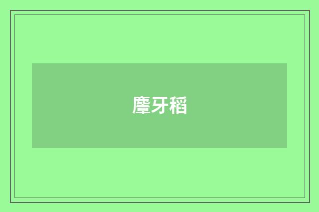 麞牙稻