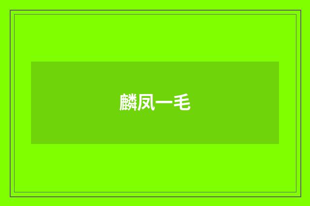 麟凤一毛