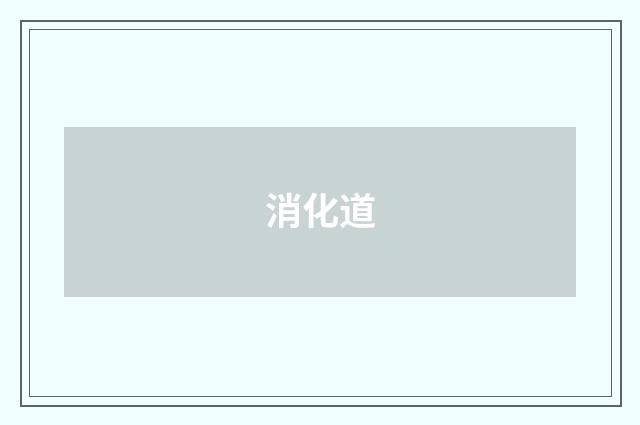 消化道