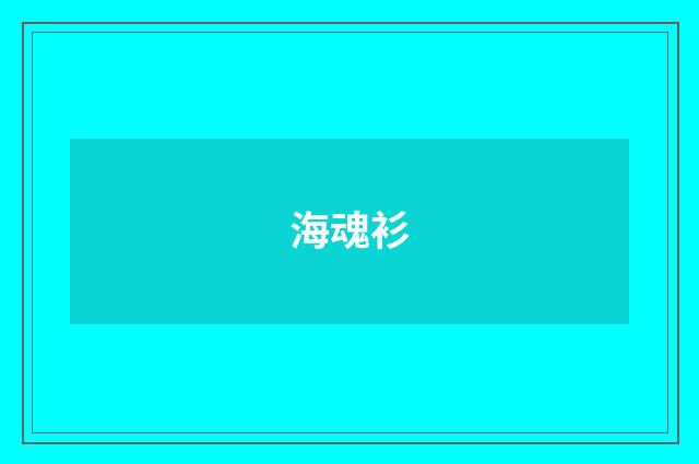海魂衫
