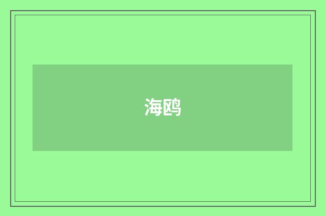 海鸥