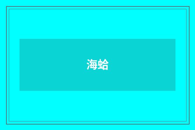 海蛤