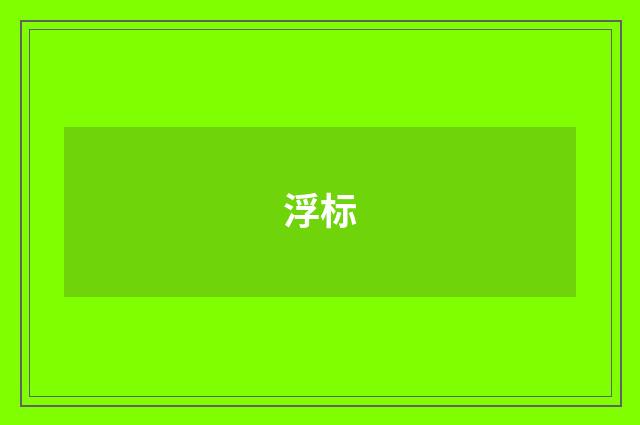 浮标