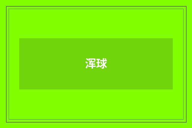 浑球