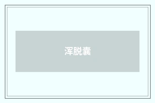 浑脱囊