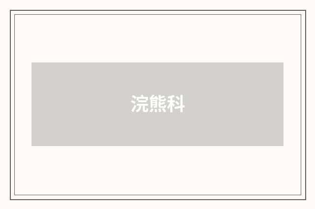 浣熊科