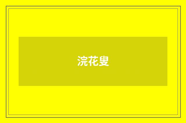浣花叟
