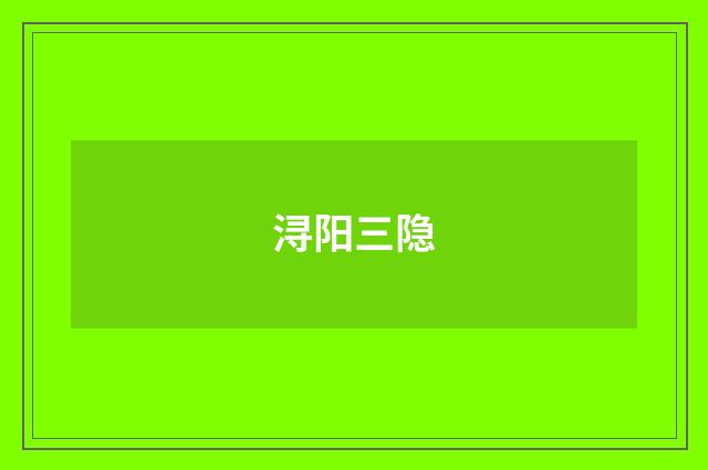 浔阳三隐