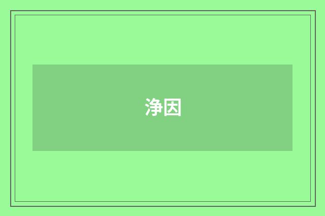 浄因