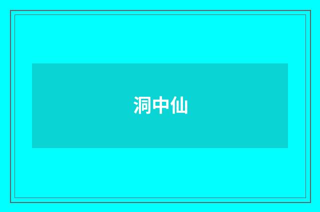 洞中仙