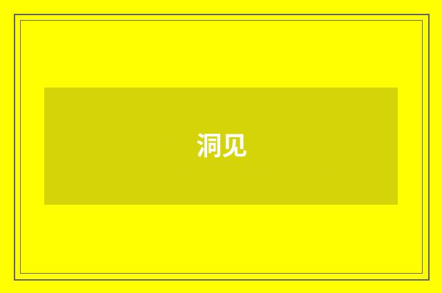 洞见