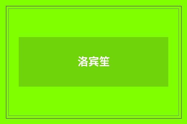 洛宾笙