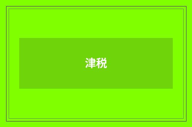 津税