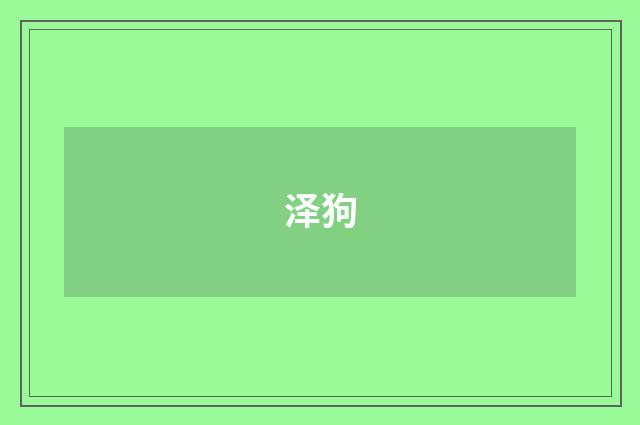 泽狗