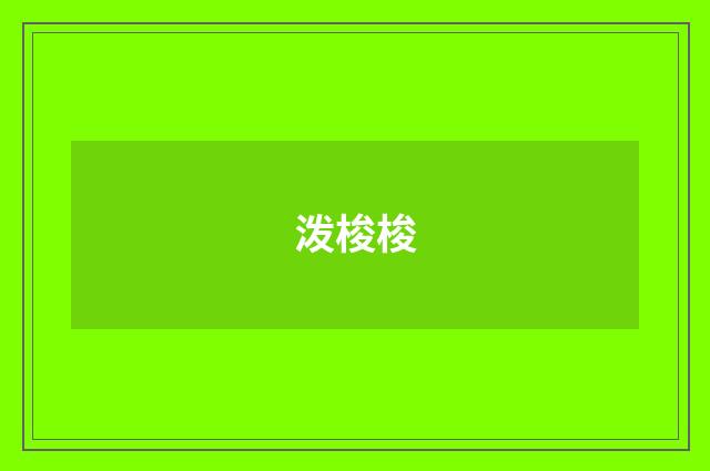 泼梭梭