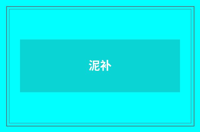 泥补