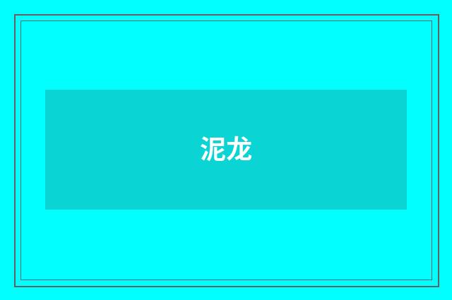 泥龙