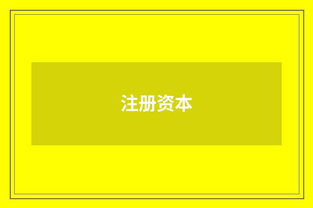 注册资本