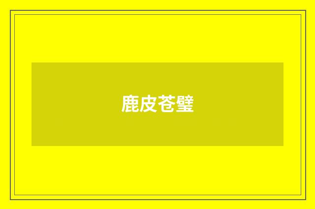 鹿皮苍璧