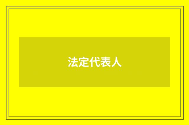 法定代表人