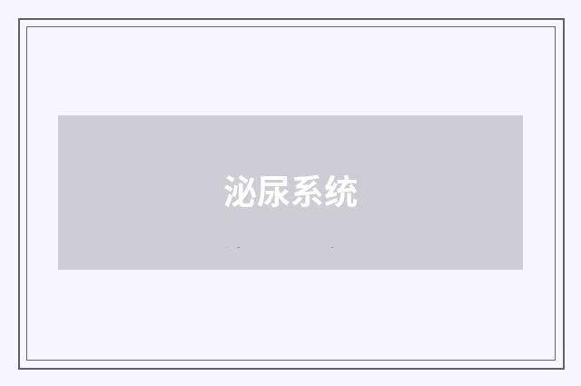 泌尿系统