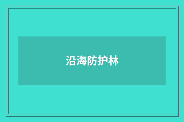 沿海防护林