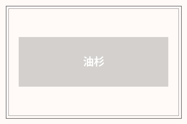 油杉