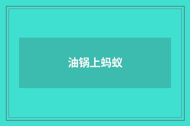油锅上蚂蚁