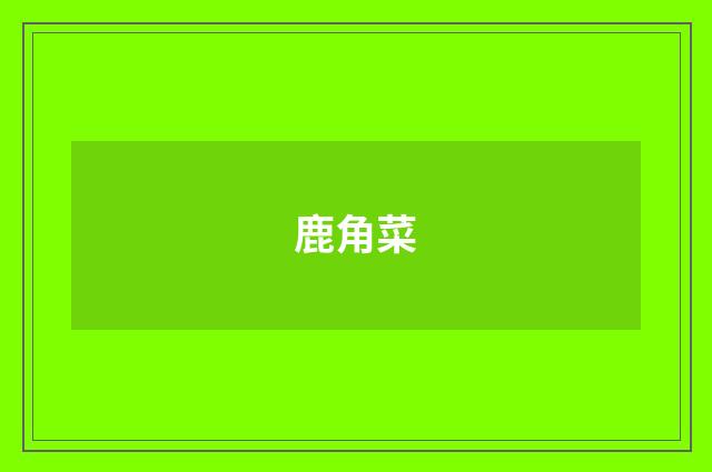 鹿角菜