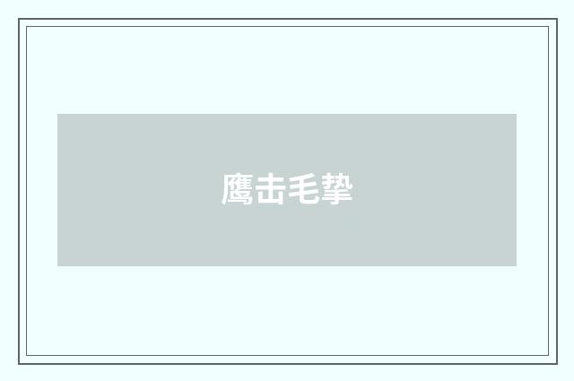 鹰击毛挚
