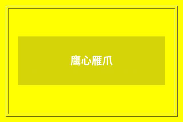 鹰心雁爪