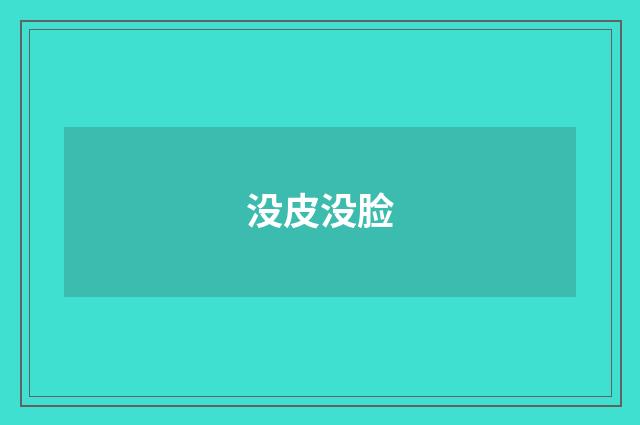 没皮没脸
