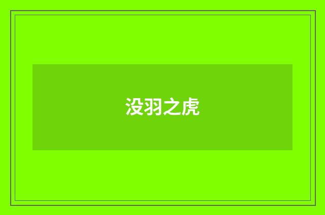 没羽之虎