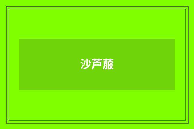 沙芦菔