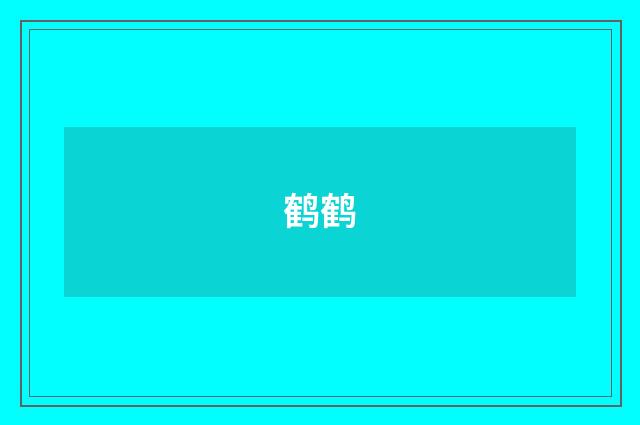 鹤鹤
