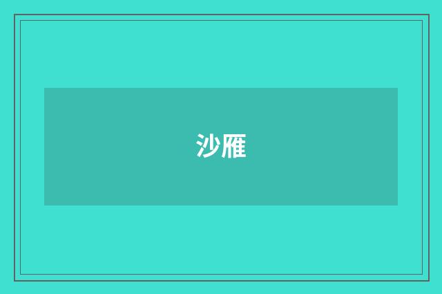 沙雁